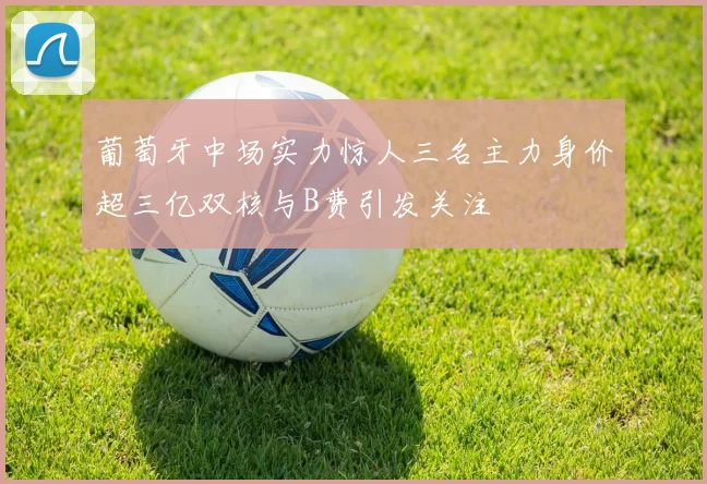 葡萄牙中场实力惊人三名主力身价超三亿双核与B费引发关注